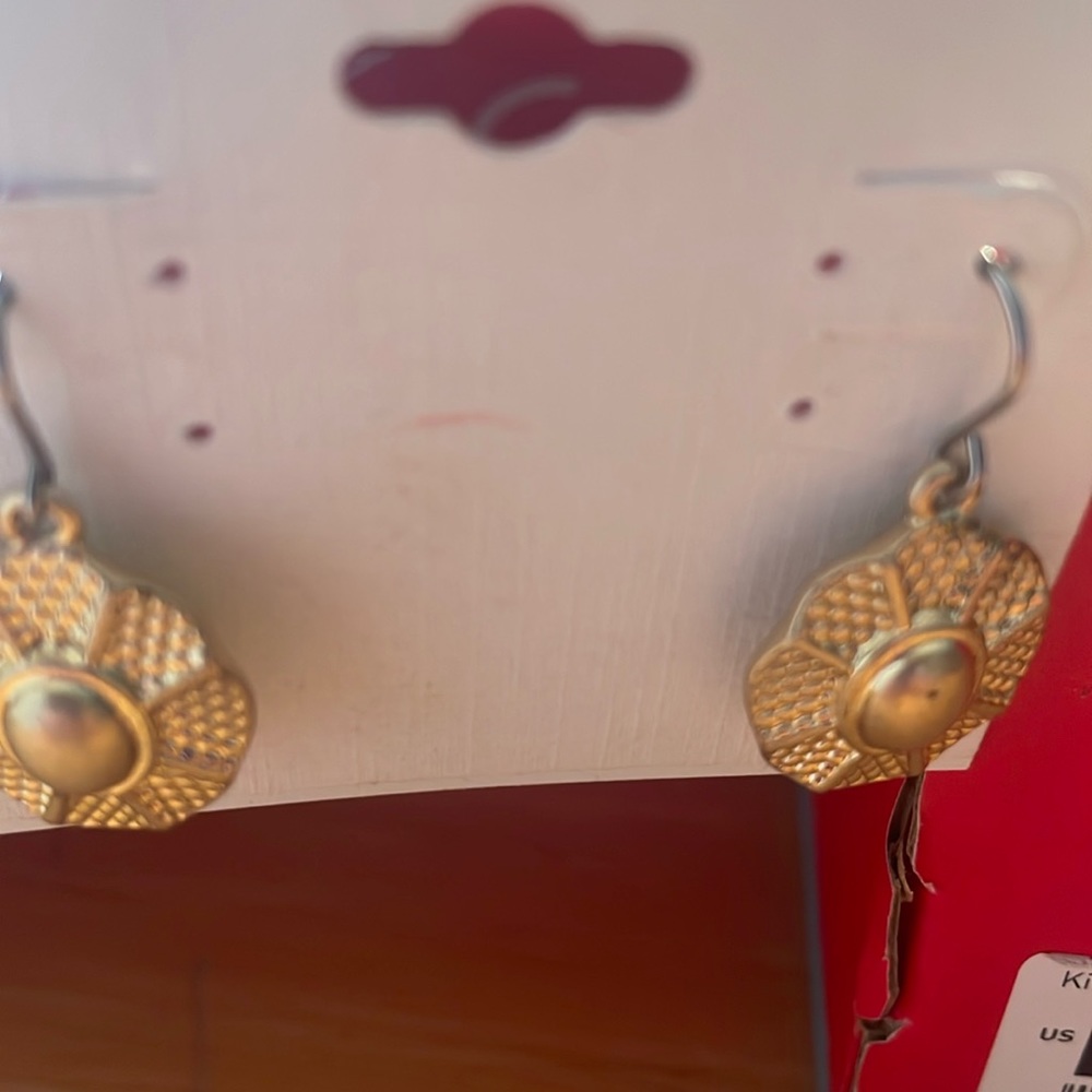 Earrings